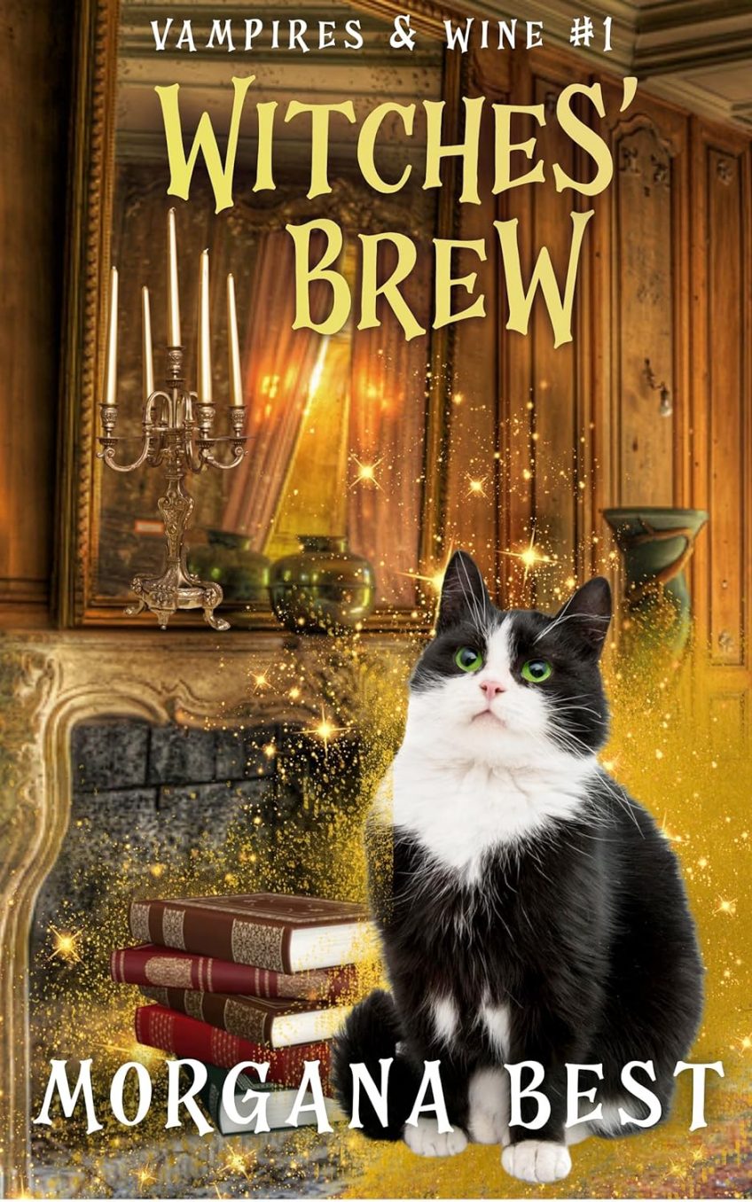 Witches’ Brew Vampires and Wine, Book 1by Morgana Best